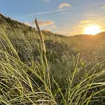 6 Person Holiday Home In Hvide Sande *